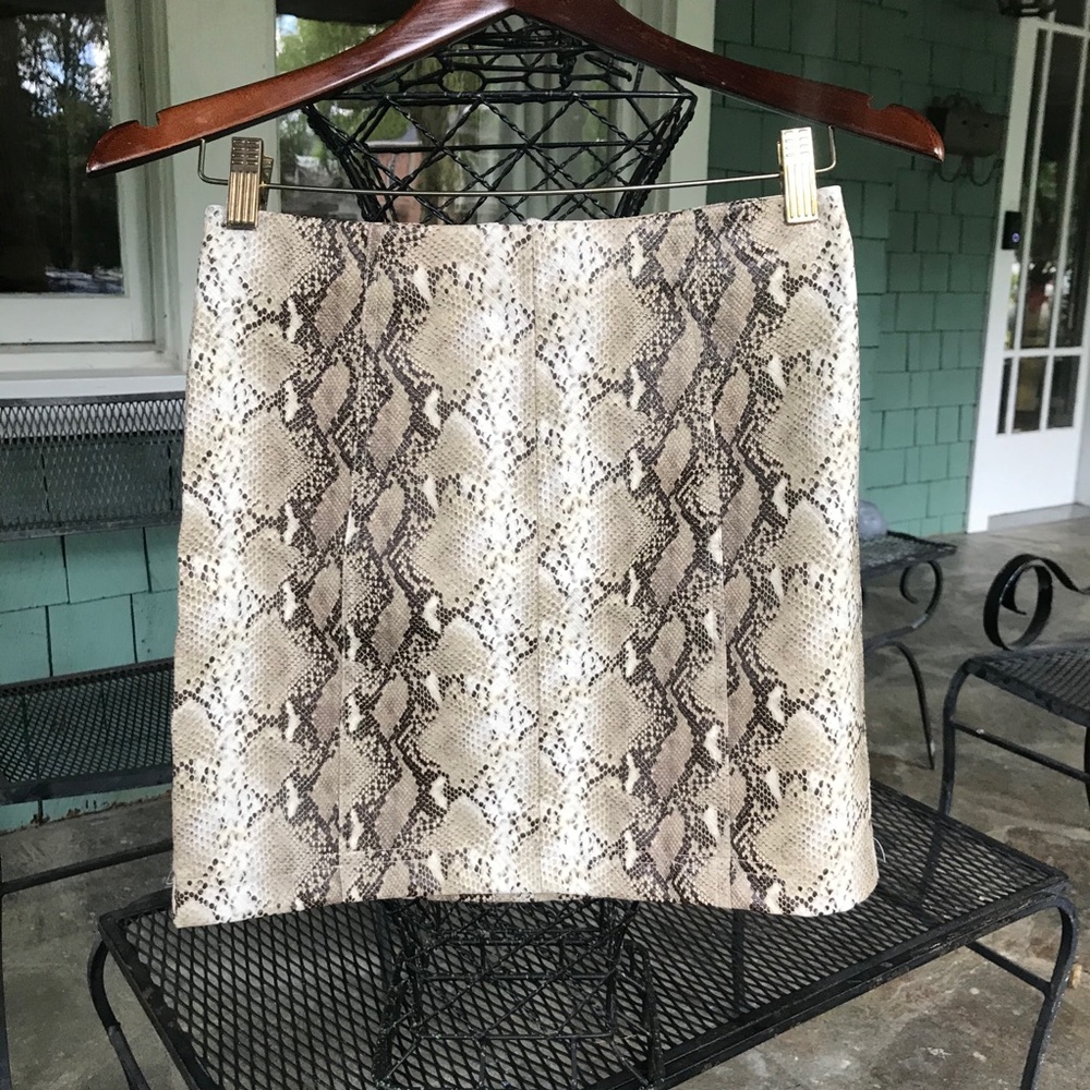 Wild Honey Faux Snakeskin Leather Skirt